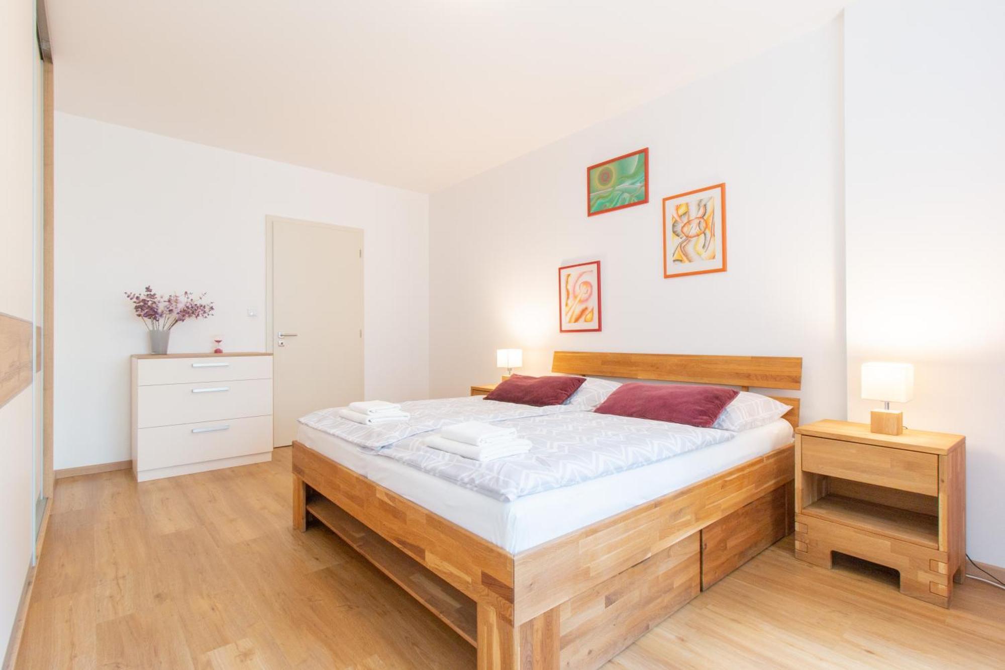 Apartment Krakovska Cr