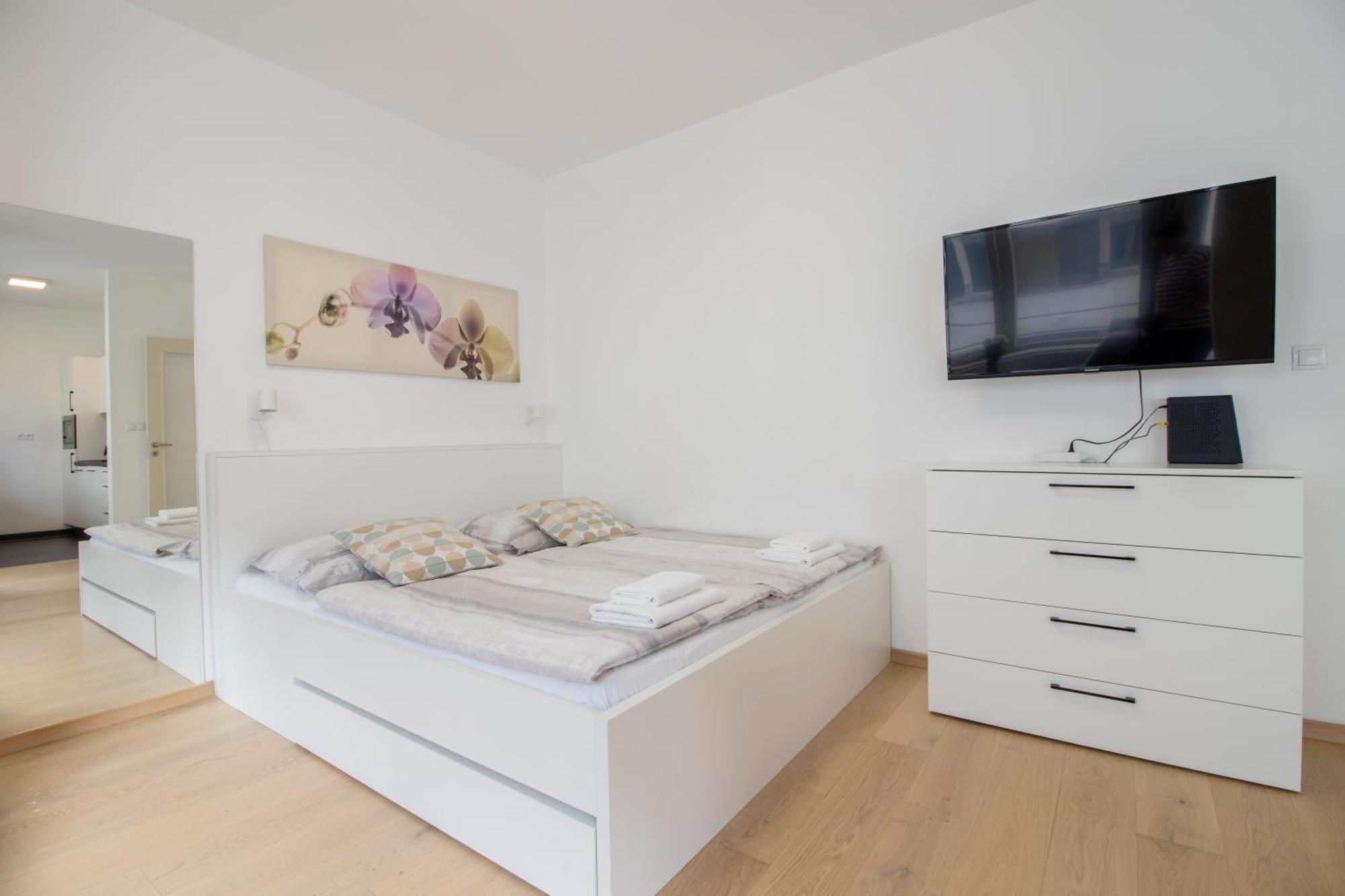 Krakovska Cr Apartment Prague