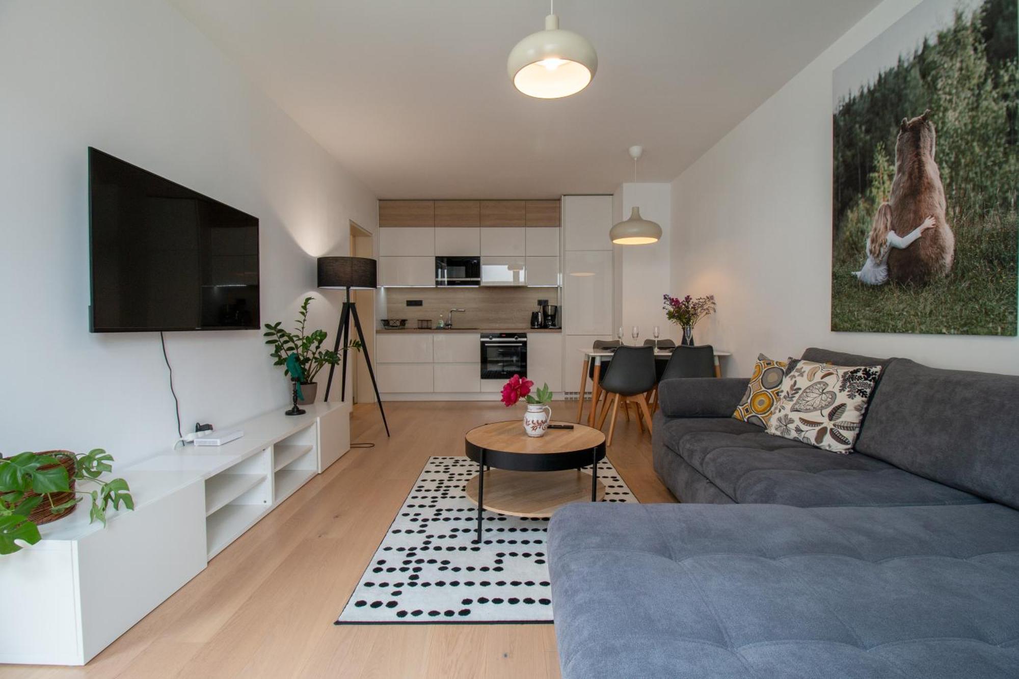 Apartmán Krakovska Cr Praha